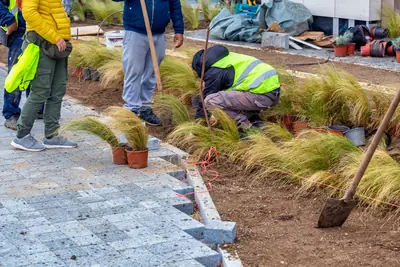 Landscaping & Outdoor Living